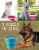 Top Race 2 Gallons (7 Liters) Extra Large Foldable Pail Bucket Set of 2 Perspective: left