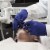1st Choice Indigo Nitrile Latex Free, Powder Free Disposable Exam Gloves, 3 Mil, Small, 100 Perspective: left