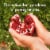 POM Wonderful Pomegranate Arils, Ready to Eat Pomegranate Seeds Perspective: left