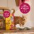 Meow Mix Gravy Bursts Savory Chicken Flavor Mix with Gravy Filled Pieces, Dry Cat Food, 3 Pound Bag Perspective: left