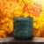 House of Velas Harvest Jar Candle Stroll in the Woods Perspective: left