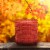 House of Velas Harvest Jar Candle Maplewood Forest Perspective: left
