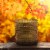 House of Velas Harvest Jar Candle Autumn Trails Perspective: left