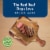 Blue Buffalo Delights Small Breed Natural Wet Dog Food, Filet Mignon Flavor in Gravy, 3.5-oz. Cups Perspective: left