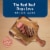 Blue Buffalo Divine Delights Small Breed Dog Food Natural Prime Rib Flavor In Gravy Perspective: left