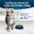 Blue Buffalo Tastefuls Kitten Dry Cat Food Chicken & Brown Rice Perspective: left