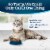Blue Buffalo Tastefuls Natural Chicken and Brown Rice Adult 7+ Dry Cat Food Perspective: left