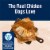Blue Buffalo True Solutions Jolly Joints Mobility Support Formula Dog Food Perspective: left