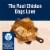 Blue Buffalo True Solutions Best Life Chicken Flavor Medium Breed Adult Dry Dog Food Perspective: left