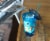 Pokemon Squirtle 16oz Plastic Carnival Cup Tumbler with Lid and Reusable Straw Perspective: left