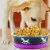 Stainless Steel Pet Bowl with Anti Skid Rubber Base and Dog Design, Large, Gray and Pink- Perspective: left