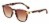 SAV Sunglass Readers, Miami, +1.50 Perspective: left