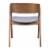 Alden Dining Arm Chair (Set of 2) Walnut & Dark Gray Perspective: left