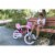 JOYSTAR Angel 16-Inch Ride On Girls Bicycle Kids Bike with Training Wheels, Pink Perspective: left