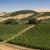 Browne Family Vineyards Bitner Estate Chardonnay Washington White Wine Perspective: left