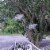 Galvanized Metal Flying Pig Hanging Planters Set of 2 Large Outdoor Décor Perspective: left
