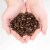 Sumatra Mandheling Indonesian Fresh Dark Roast Coffee | Medium Grind (Drip) - 1 lb Perspective: left