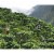 Colombian Supremo 100% Arabica XL Beans Fresh Light Roast Kosher Coffee | Medium Grind - 1 lb Perspective: left