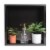 ALFI brand ABNP1616-BB 16 x 16 Brushed Black PVD Steel Square Single Shelf Shower Niche Perspective: left