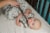 Bublo Baby Wearable Blanket, Cotton Sleep Sacks for 6-12 Months, 100% Cotton, Medium Size Perspective: left