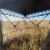 Rhino Blinds R180 3 Person Hunting Ground See-Through Mesh Blind, Realtree Edge Perspective: left