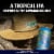 Terrapin Luau Krunkles IPA Cans Perspective: left