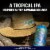 Terrapin Luau Krunkles IPA Cans Perspective: left