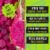 Pitaya Foods Organic Dragon Fruit Snack-Sized Pieces 12 oz Perspective: left
