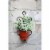 ORE International LB-1717 16 in. Single Pot Cast-Iron Crest Wall Planter Decor Perspective: left
