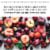 Bieler Père & Fils Sabine Rose Provence Pink Wine Perspective: left