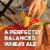 Golden Road Brewing Mango Cart Wheat Ale Craft Beer Perspective: left