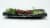 Yummi Sushi Tuna Tataki Sushi Perspective: left