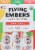 Flying Embers Collection Hard Seltzer Perspective: left