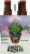 Parish Brewing Co. Ghost in the Machine Ale Perspective: left