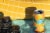 Mother Earth Cali Creamin' Creamsicle Citrus Cream Ale Craft Beer Perspective: left