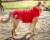 Dog Helios Lotus-Rusher Waterproof 2-in-1 Convertible Dog Jacket w/ Blackshark technology Perspective: left