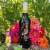 Del Rio Vineyard Estate Jolee Rouge Lush Red Blend Wine Perspective: left