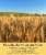 Palouse Brand Hard Red Winter Wheat, 5 LBS Burlap Bag Perspective: left