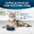 Blue Buffalo Tastefuls Natural Chicken and Brown Rice Indoor Adult Dry Cat Food Perspective: left
