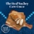 Blue Buffalo Wilderness High-Protein Grain-Free Adult Pate Wet Cat Food Turkey Perspective: left