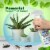 Mighty Mint Insect & Pest Control Spray Perspective: left