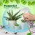 Mighty Mint® Spider Repellant Perspective: left