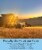 Palouse Brand Hard White Wheat Berries, 100 LBS (4 - 25 LB Bags) Perspective: left