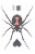Original Sin Black Widow Cider Perspective: left