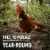 Vital Farms® Pasture-Raised Large Eggs Perspective: left