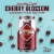 Huss Brewing Papago Cherry Blossom Wheat Beer Perspective: left
