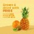 RIND® Snacks Tropical Blend Dried Fruit Superfood Perspective: left