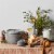 Staub Ceramic Dinnerware 4-pc 5-inch Cereal Bowl Set - White Truffle Perspective: left