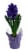 Assorted Flowering Plant Bulbs Perspective: left