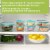Snapware Total Solution Glass Food Storage Perspective: left